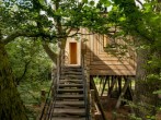 Treehouse access